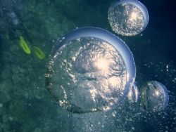 Bubbles with diver below. Taken whilst on a deco stop. by Ian Palmer 
